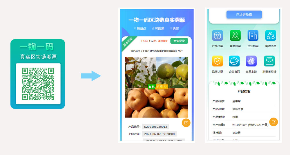 溯源二維碼演示.jpg