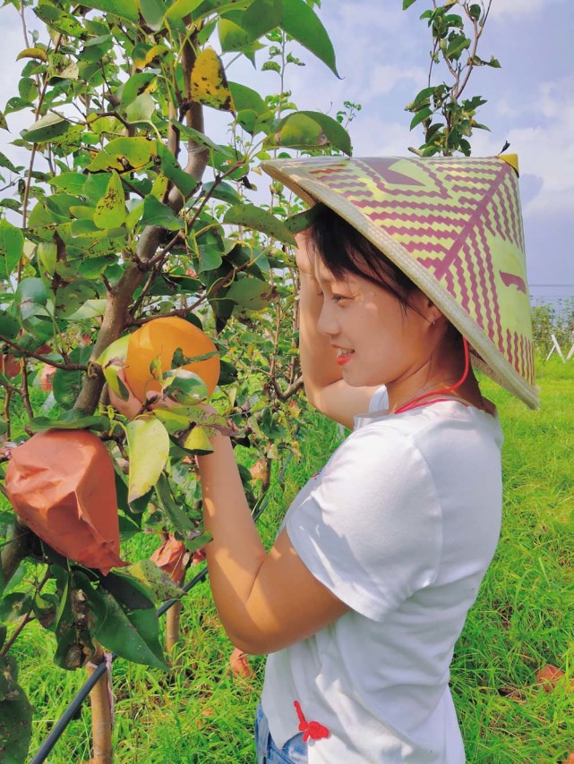 號外！號外！有一種水果能吃出“四種味道”，你嘗過嗎？