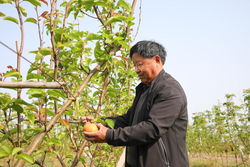 “數(shù)字農(nóng)業(yè)”賦能有機(jī)產(chǎn)業(yè)，金山呂巷面向全球發(fā)布“一站式有機(jī)農(nóng)業(yè)服務(wù)商”