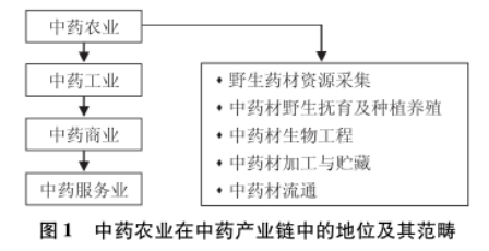 我國中藥農(nóng)業(yè)現(xiàn)狀分析與發(fā)展趨勢思考