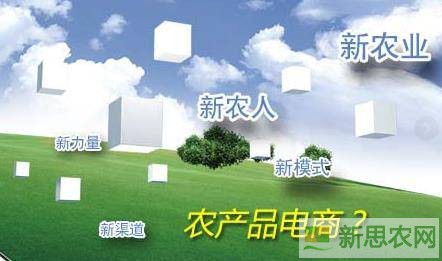 如何正確理解品牌農(nóng)業(yè)電商誤區(qū)？