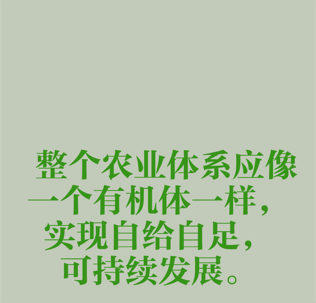 中國農(nóng)業(yè)百科全書農(nóng)業(yè)歷史卷中傳統(tǒng)農(nóng)業(yè)的概念_農(nóng)業(yè)物聯(lián)網(wǎng)概念_有機農(nóng)業(yè)概念