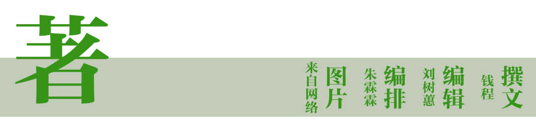 農(nóng)業(yè)物聯(lián)網(wǎng)概念_有機農(nóng)業(yè)概念_中國農(nóng)業(yè)百科全書農(nóng)業(yè)歷史卷中傳統(tǒng)農(nóng)業(yè)的概念