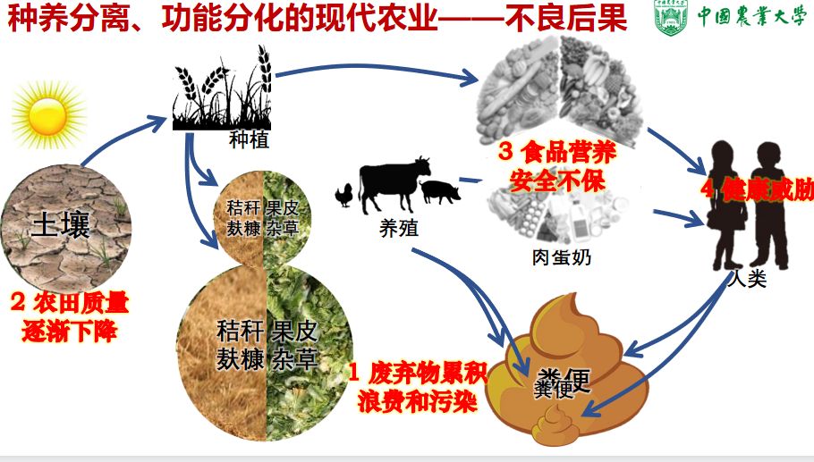 支持農(nóng)業(yè)規(guī)模化生產(chǎn)和集約化經(jīng)營存在的問題和意見建議_楊梅生產(chǎn)實(shí)用新技術(shù)/效益農(nóng)業(yè)叢書_有機(jī)農(nóng)業(yè)生產(chǎn)的現(xiàn)狀與發(fā)展