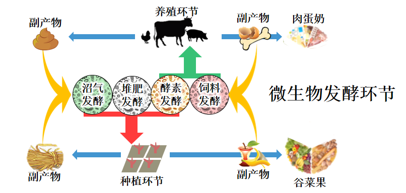 支持農(nóng)業(yè)規(guī)模化生產(chǎn)和集約化經(jīng)營存在的問題和意見建議_有機(jī)農(nóng)業(yè)生產(chǎn)的現(xiàn)狀與發(fā)展_楊梅生產(chǎn)實(shí)用新技術(shù)/效益農(nóng)業(yè)叢書