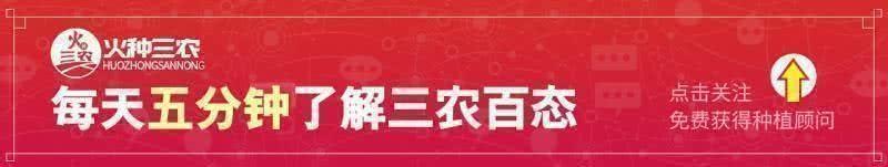 什么是有機農(nóng)業(yè)_運城市農(nóng)業(yè)機電工程學校_農(nóng)業(yè)機楷展會