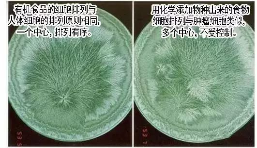 人體潤(rùn)滑劑拉絲的好處_人體做推拿有啥好處_有機(jī)食品對(duì)人體的好處