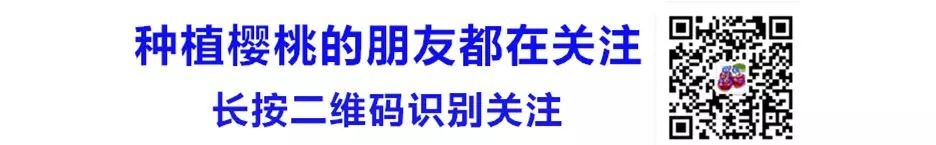 有機肥發(fā)酵技術_液體肥發(fā)酵_發(fā)酵糞肥是氨基酸肥嗎