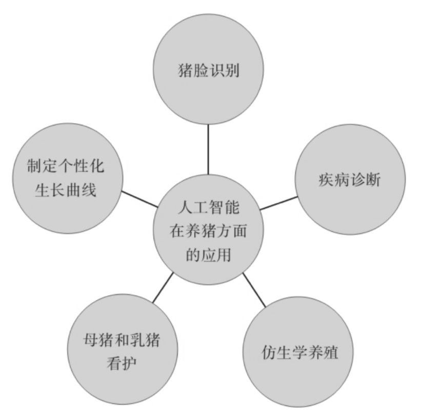 有機(jī)農(nóng)業(yè)的痛點(diǎn)_有胸口右旁邊點(diǎn)痛_螺紋凸點(diǎn)套套，痛