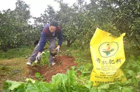 輔食機(jī)嬰兒輔食機(jī) 輔食機(jī)有用嗎_到底什么是有機(jī)肥_機(jī)肥造粒機(jī)