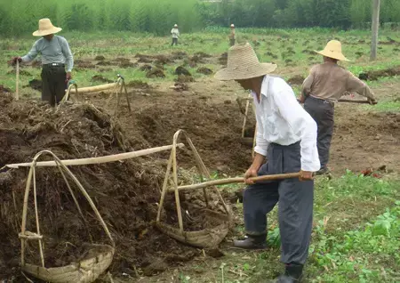 到底什么是有機(jī)肥_小型智能配肥機(jī)_比富得智能配肥機(jī)