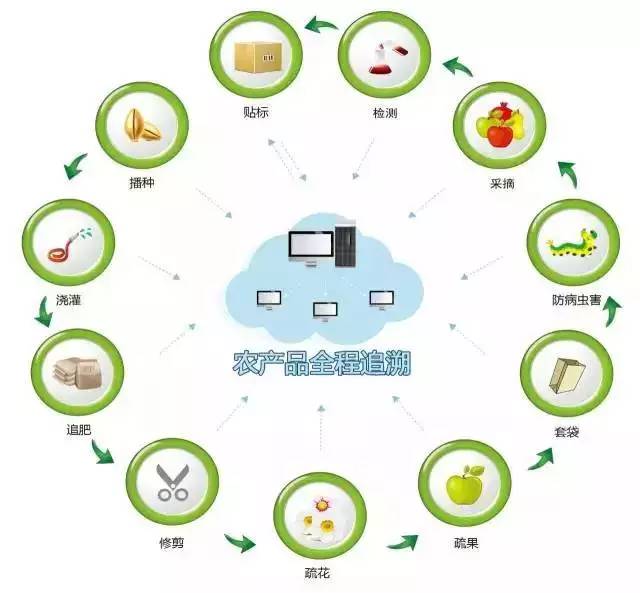 市場機(jī)會和市場機(jī)遇_有機(jī)農(nóng)產(chǎn)品市場占有率_南農(nóng)的農(nóng)經(jīng)專業(yè)保研率