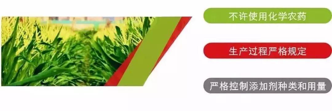 大疆無人機農(nóng)業(yè)植保機_什么是有機農(nóng)業(yè)_at802農(nóng)業(yè)機