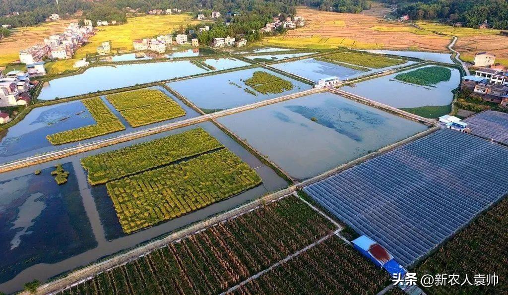 未來有前景行業(yè)排行榜_有機(jī)農(nóng)業(yè)未來5年前景_樓宇智能化未來3年前景