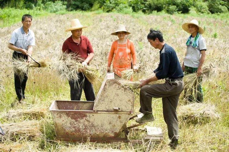 全民農(nóng)場烤餅機(jī)_卡通農(nóng)場搖蜜機(jī)多少錢_中國最大有機(jī)農(nóng)場