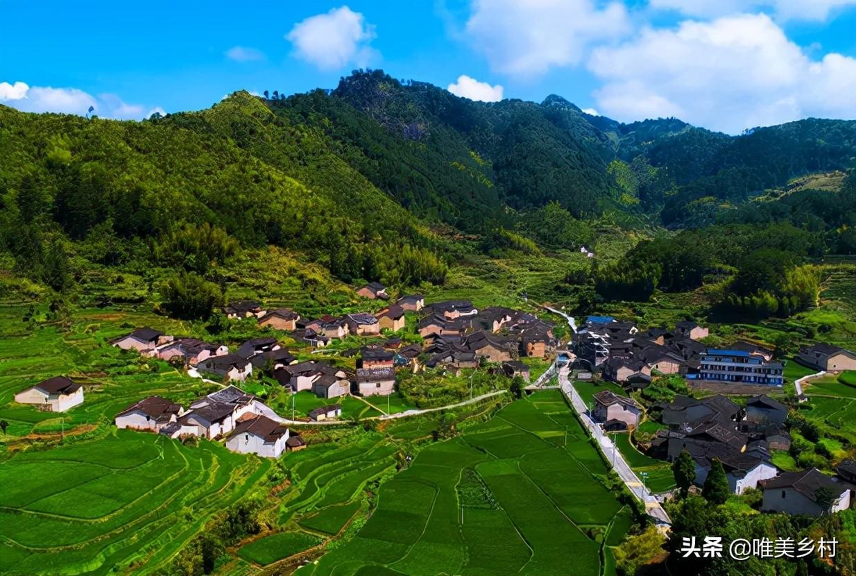 頭兩側(cè)翼點痛怎么辦_睪丸毛囊痛有干裂痛_有機農(nóng)業(yè)的痛點