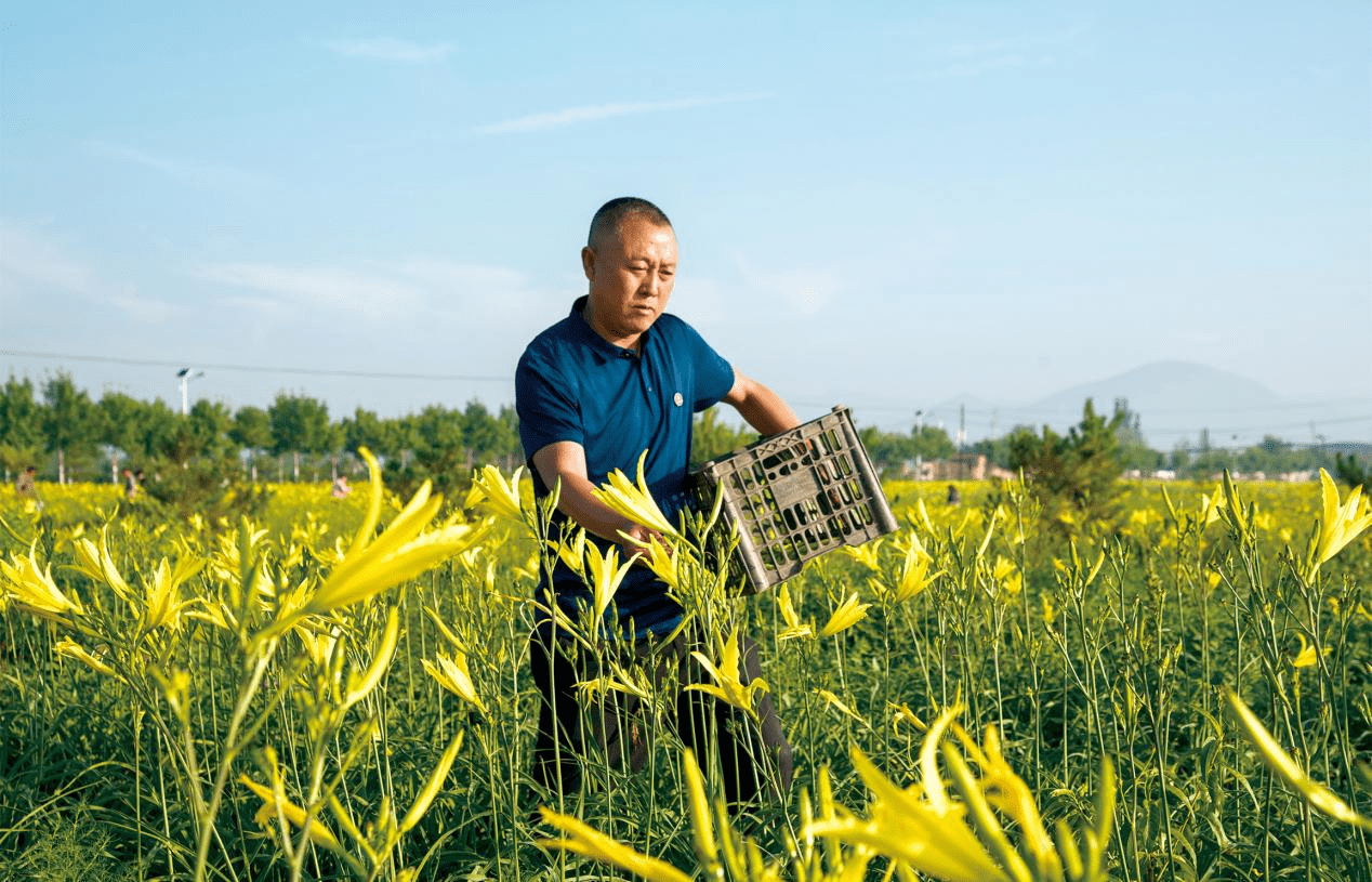 安防產(chǎn)業(yè)趨勢(shì)_有機(jī)產(chǎn)業(yè)發(fā)展現(xiàn)狀與趨勢(shì)_文化創(chuàng)意產(chǎn)業(yè)與相關(guān)產(chǎn)業(yè)融合發(fā)展