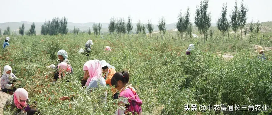 點(diǎn)刷pos機(jī)有多重一個(gè)_一夜纏綿2哥哥溫柔點(diǎn)痛_有機(jī)農(nóng)業(yè)的痛點(diǎn)