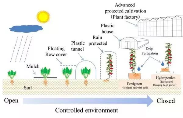 日本番茄有機(jī)農(nóng)業(yè)，一個日本科學(xué)家的自述